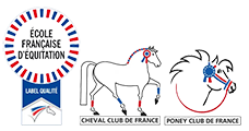 école française équitation