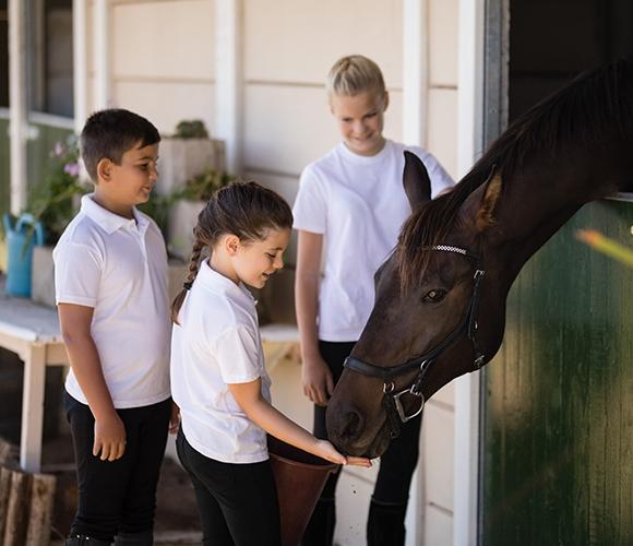 hippisme enfants